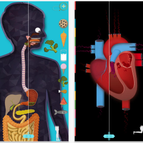 The Human Body: una app preciosa per aprendre anatomia (i en català!)